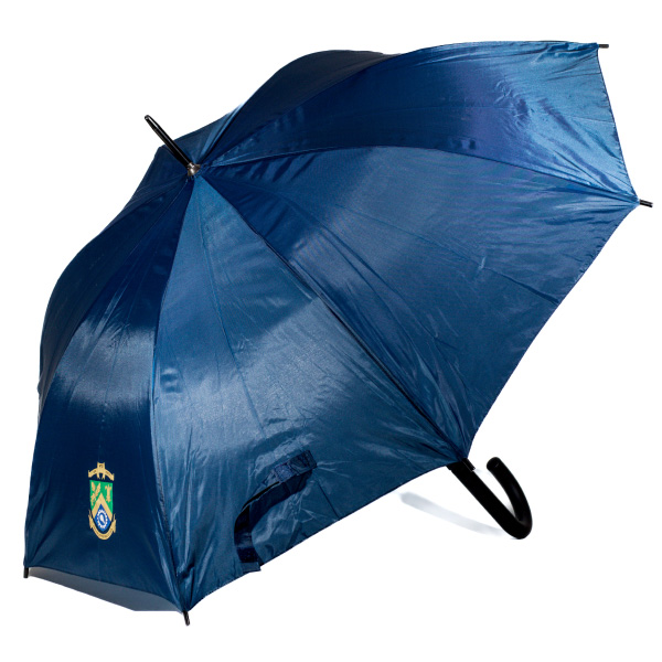 blue-umbrella